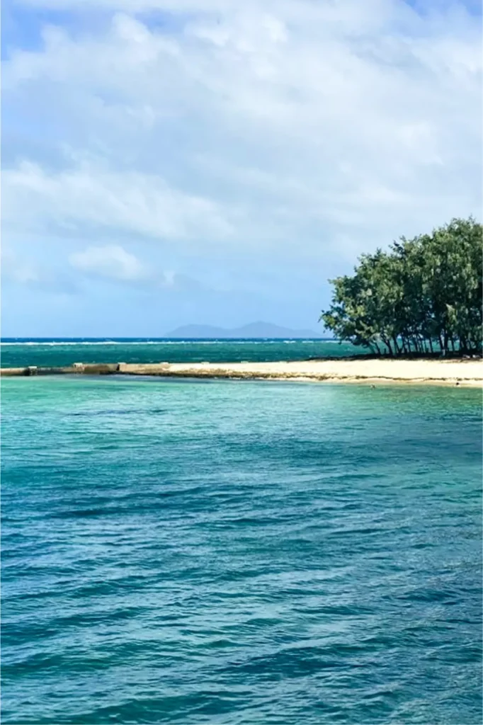 Great Barrier Reef tour