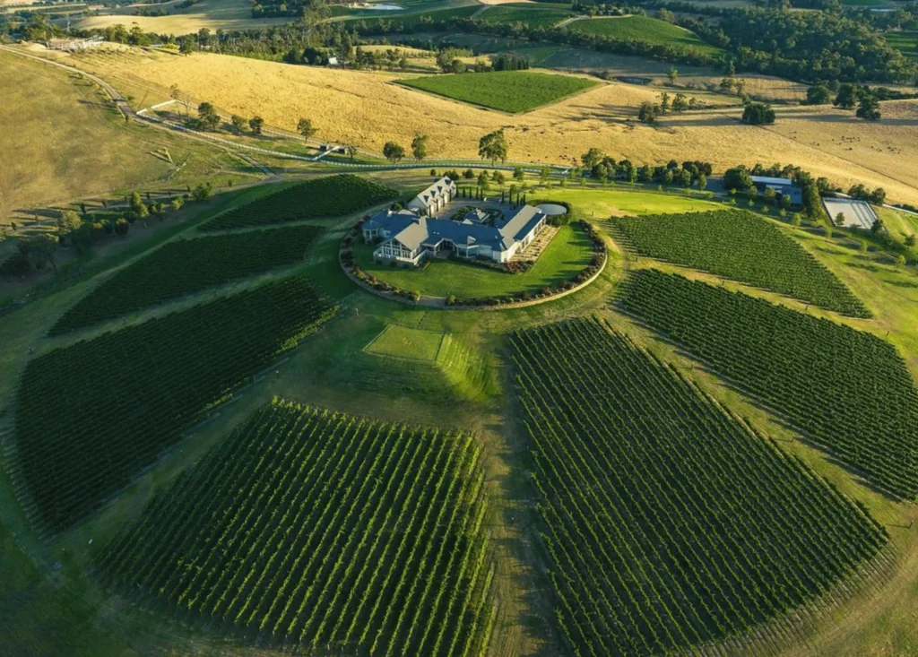 Levantine Hill Winery