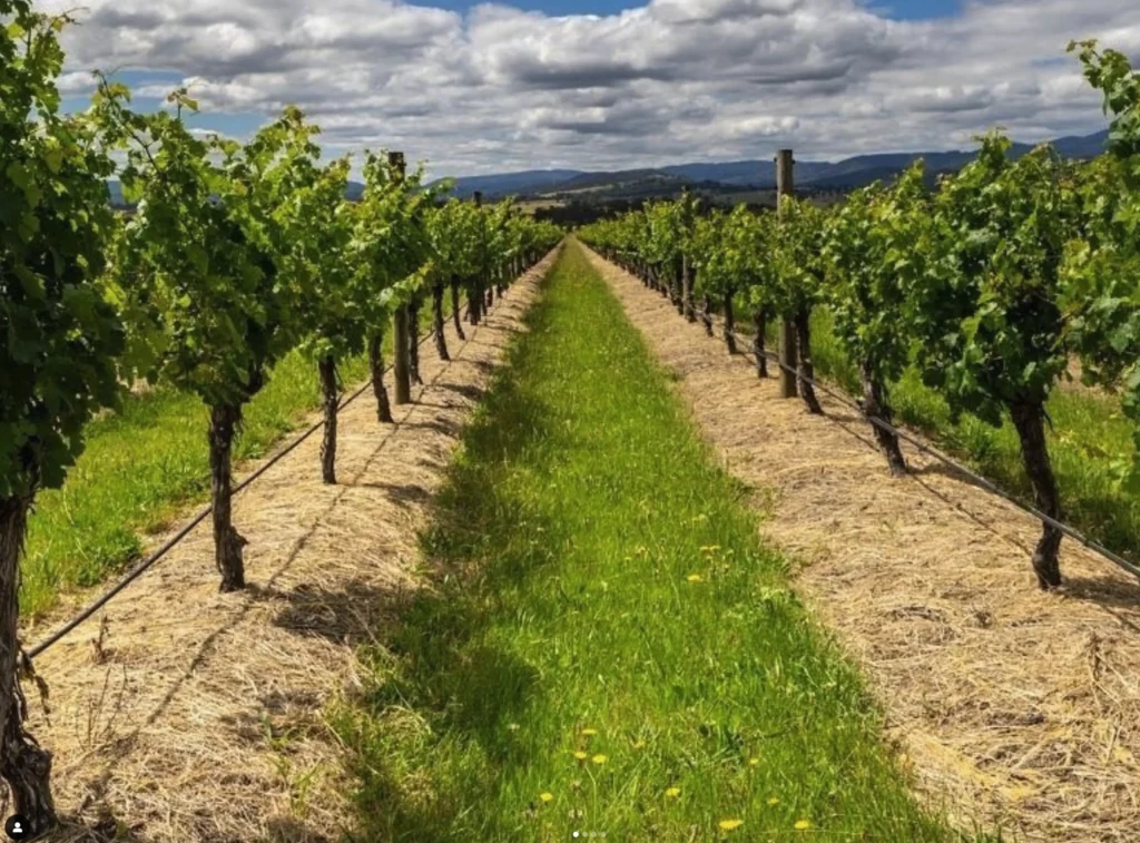 Warramunda Estate