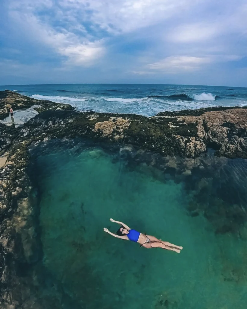 day trips to fraser island