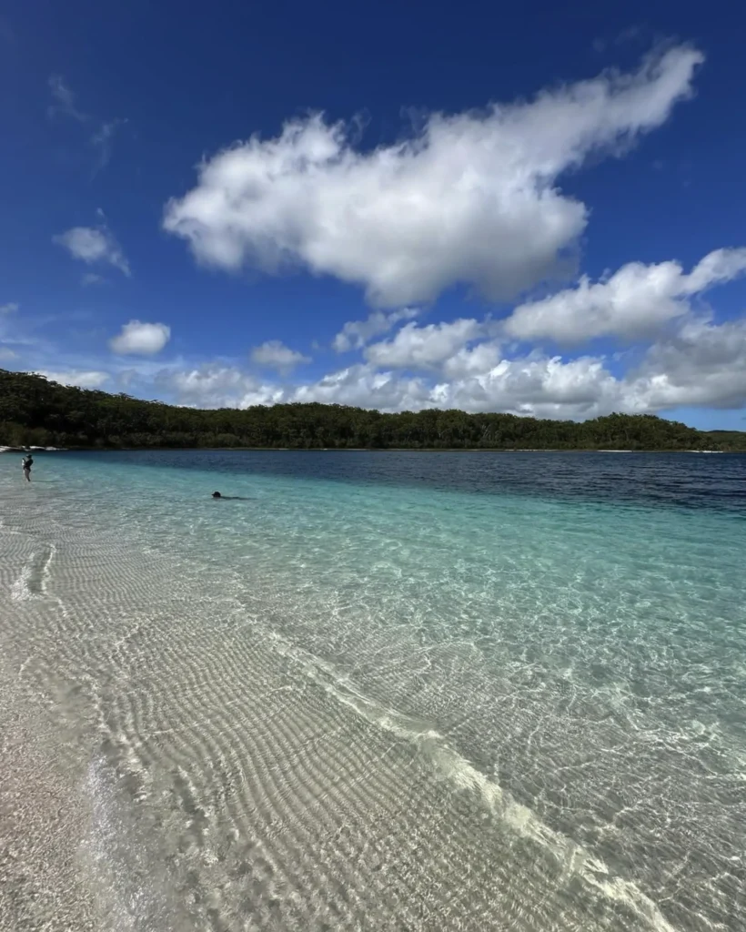 fraser island day trip