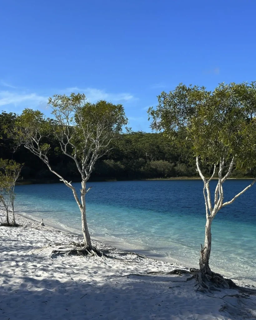 fraser island day trips