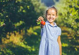 fruit picking adelaide hills
