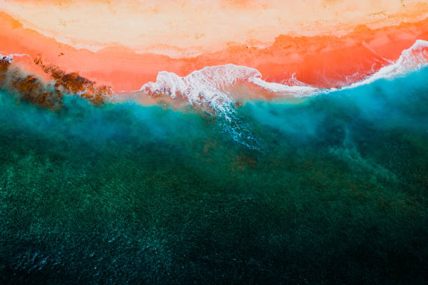 facts about the great barrier reef in australia