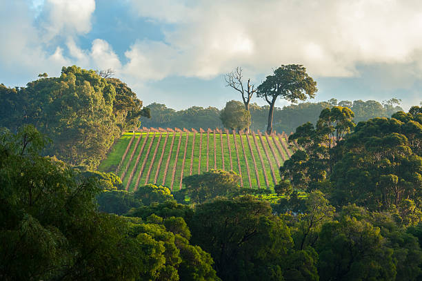 best holiday destinations in australia in october