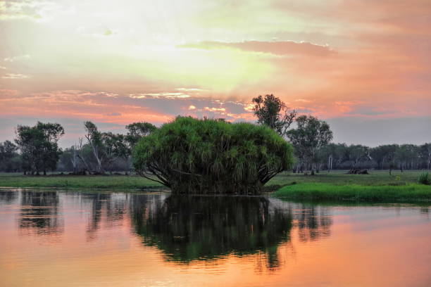 things to do in northern australia