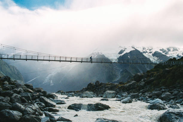 cities to visit in new zealand