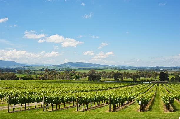 stay in yarra valley