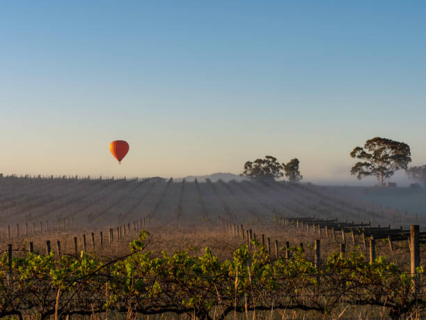 best winery tour yarra valley