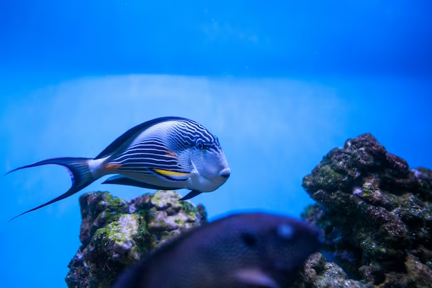best aquariums on east coast