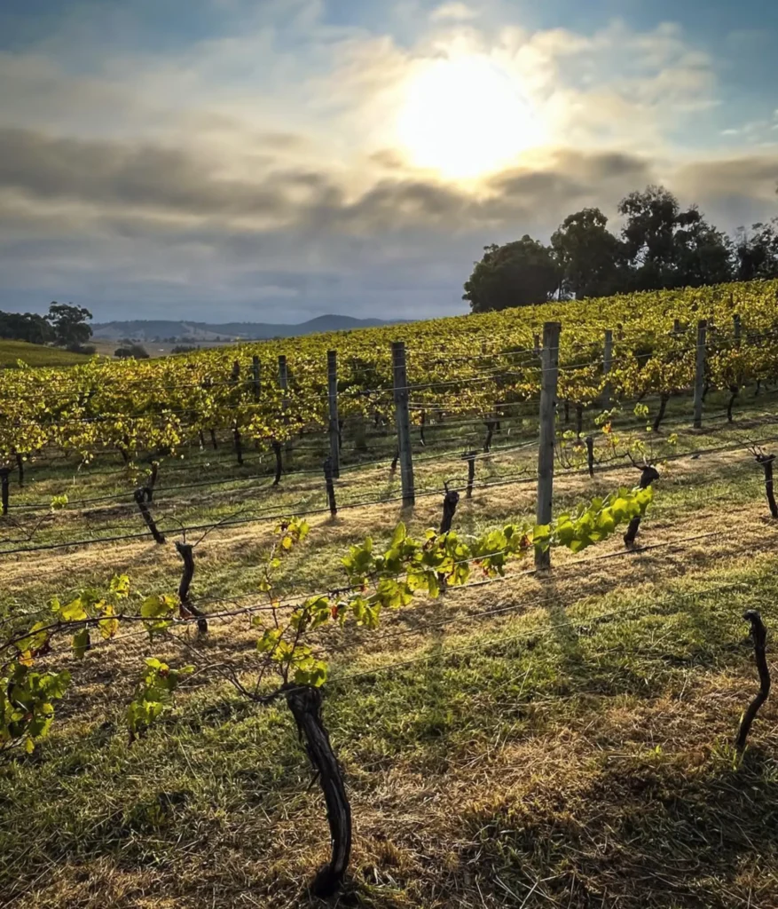 winery tours melbourne