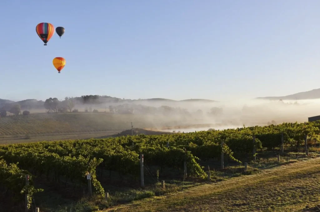 yarra valley wine tasting tours