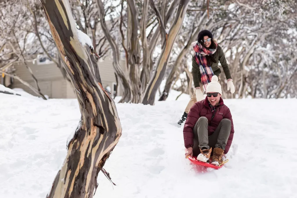 Sled Down with Toboggan