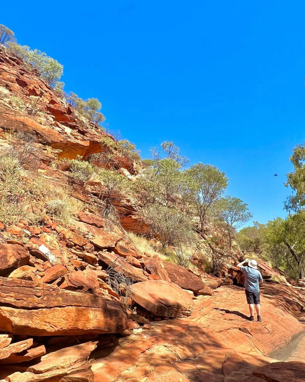 How to Tackle the Rim Walk as a Family