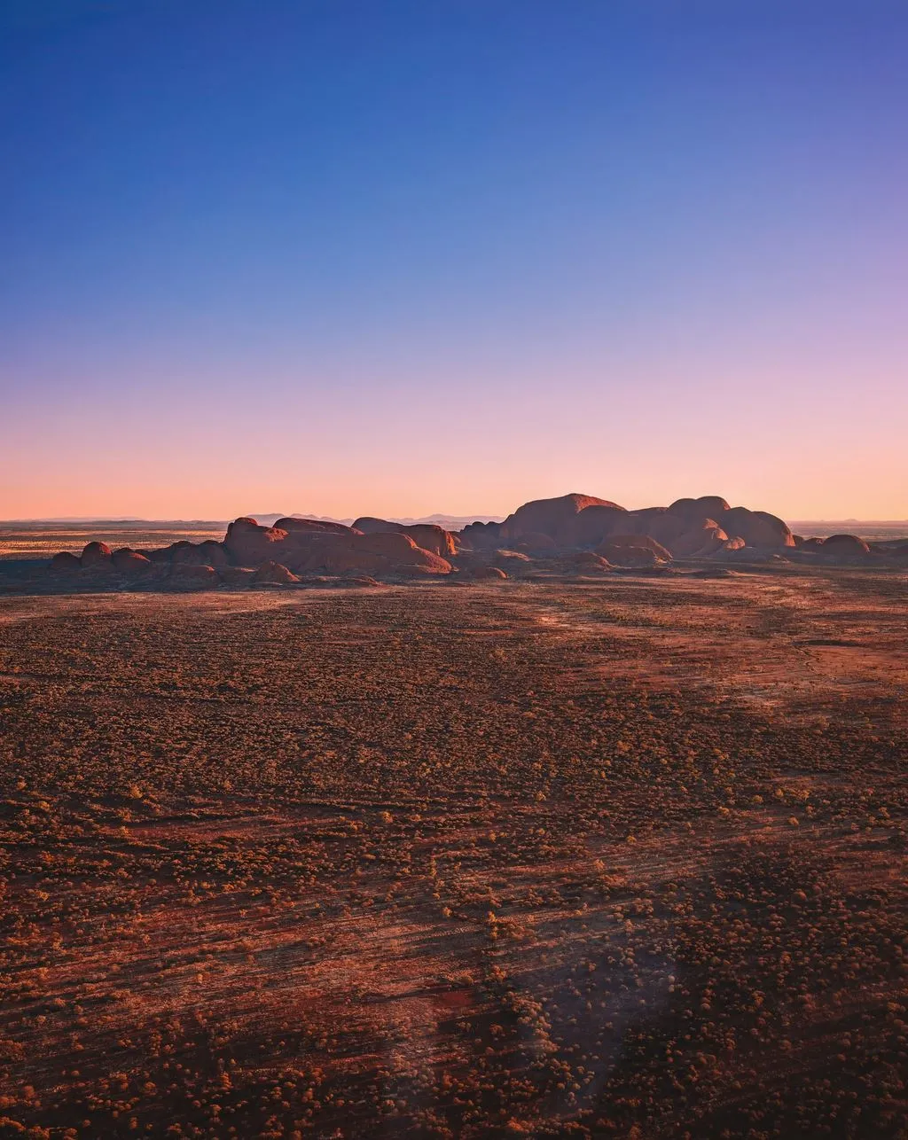 Sunset Tours, Red Wine, Red Rock, and Sunset Dreaming