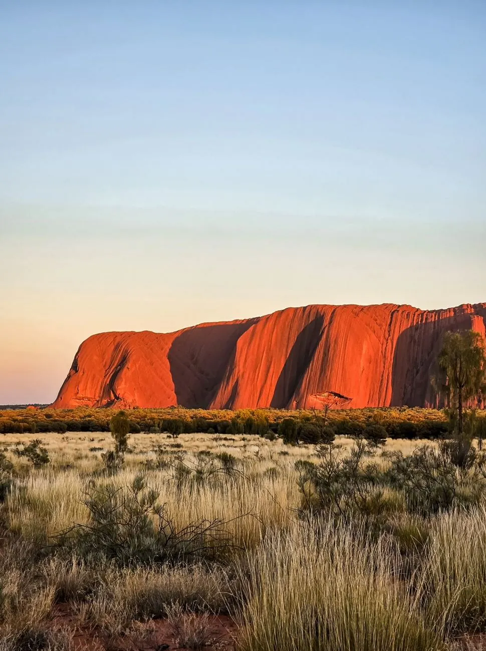 Uluru Tours