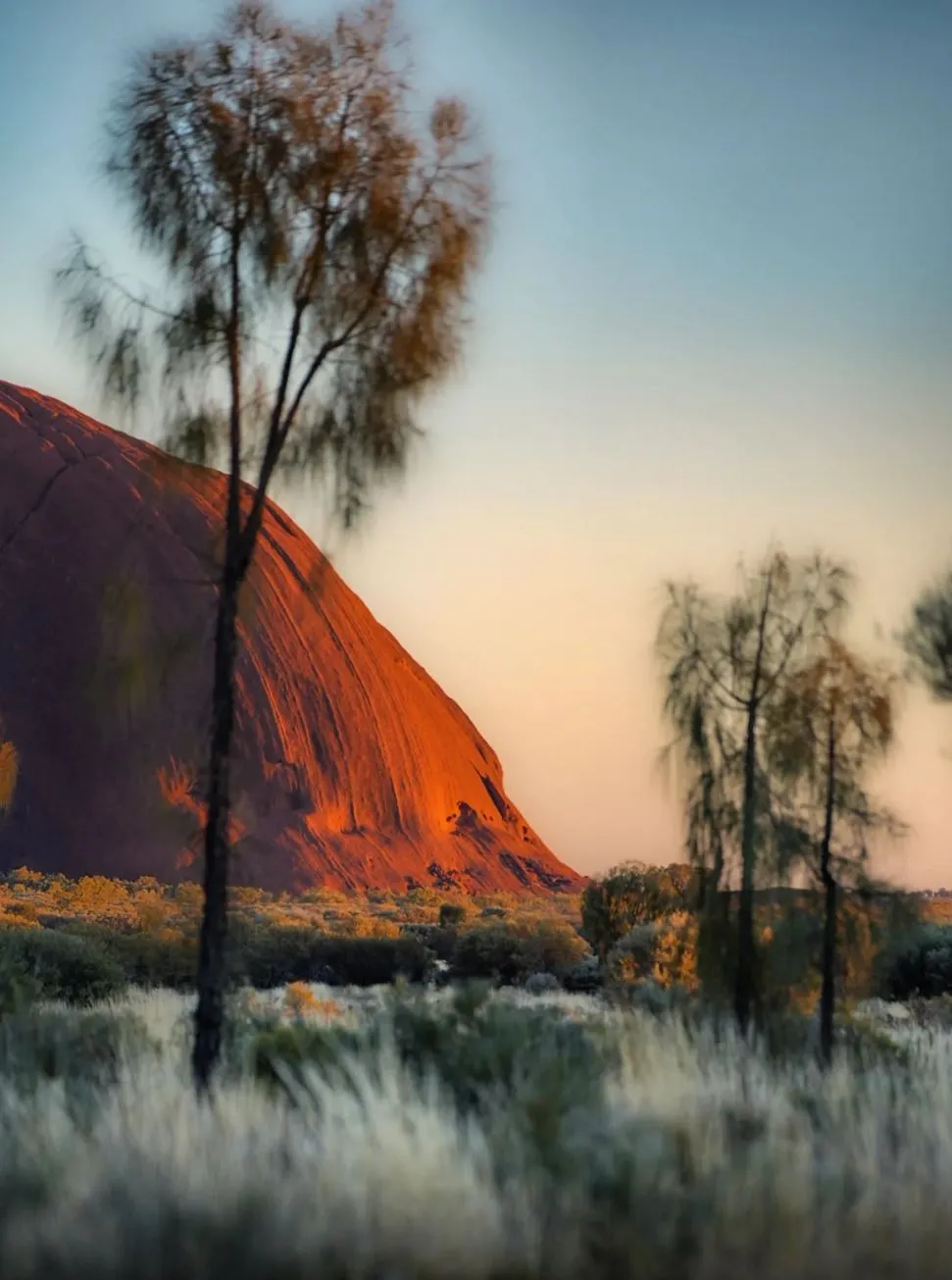 Why Every Dollar Counts in the Desert
