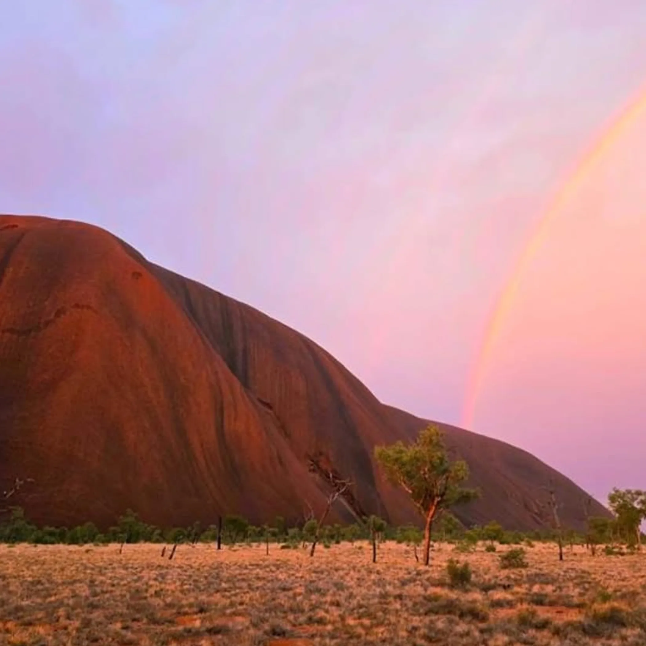uluru landscape near mutitjulu waterhole