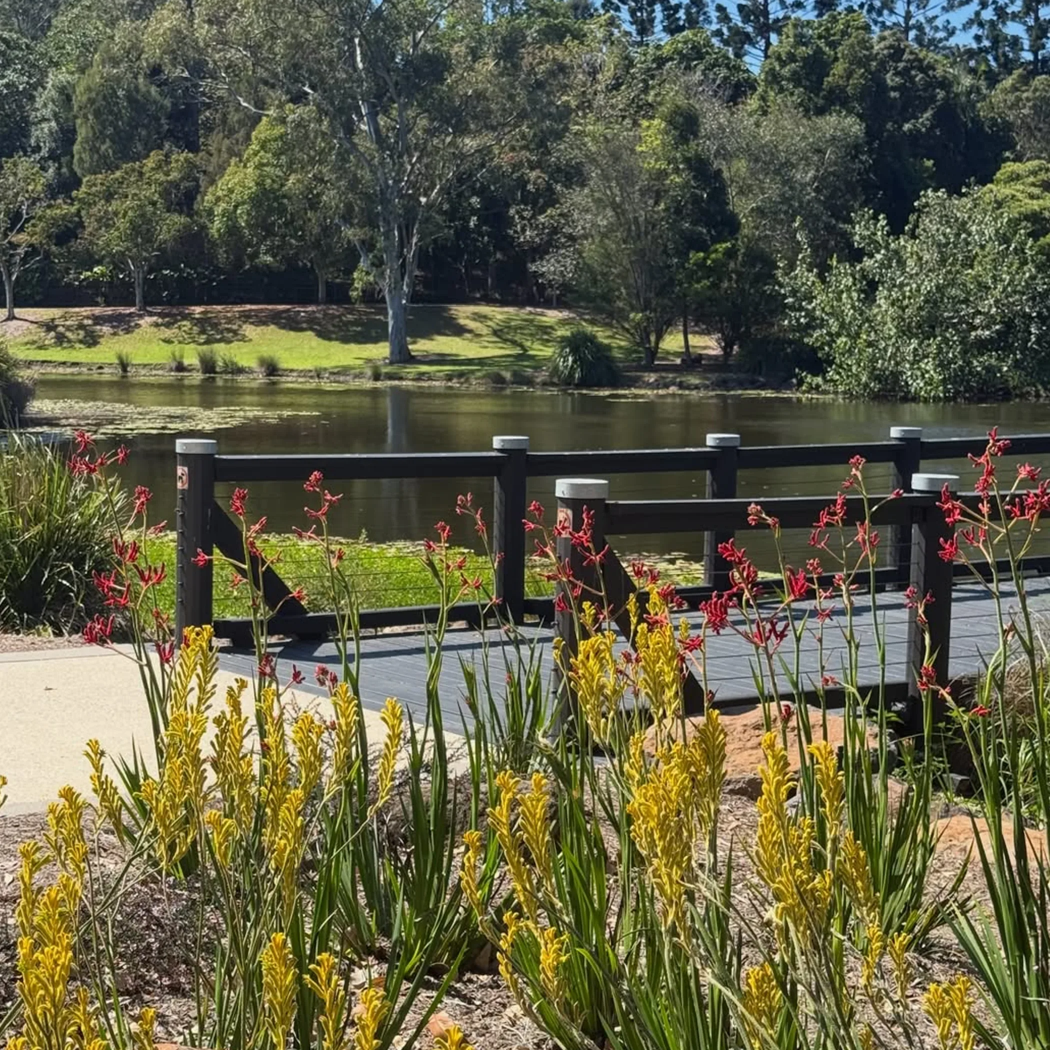 gold coast garden nature walk