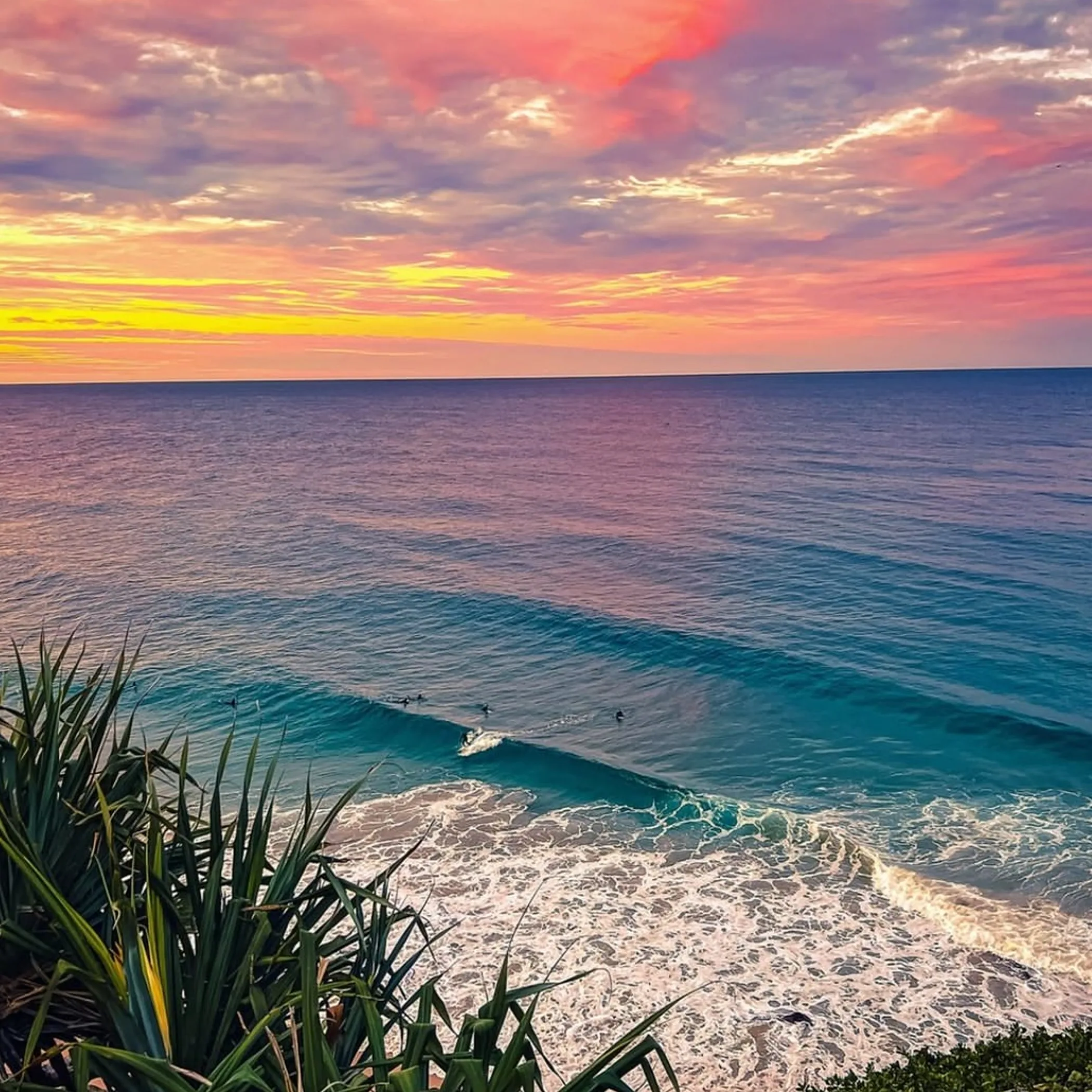 gold coast coastal scene